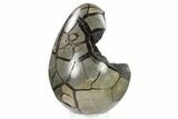 Septarian Dragon Egg Geode - Black Crystals #134630-2